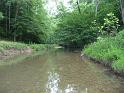 Looking upstream